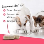VetriScience Vetri Mega Probiotic and Prebiotic for Dogs and Cats, 180 Capsules - Digestive Relief - Easy to Give Capsules - GI Support - Image 3