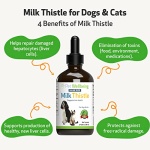 Pet Wellbeing Milk Thistle for Dogs & Cats - Supports Liver Health, Protects Liver - Glycerin-Based Natural Herbal Supplement - 4 oz (118 ml) - Image 6