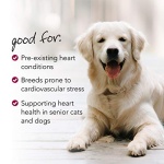 VetriScience Laboratories Cardio Strength, 90 Capsules - Supports Blood Flow, Immune System and Energy Levels for Dogs and Cats - Image 5