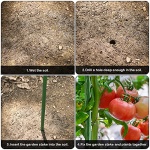 FEED GARDEN Garden Stakes 36 Inch 3ft 25 Pack, Sturdy Plant Metal Sticks Support, Plastic Coated Plant Stakes, Tomato Stakes, Beans, Trees - Image 4